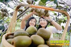 ������Ͽ���ŷ��ɽ���̳���⨺���