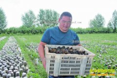 ���ɹ����������ѧ�����ͼ������ֲ��ľ�������¸�·