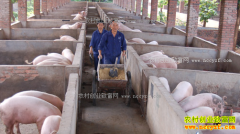 2017�������۸�Ԥ�⣺���۷�9Ԫ�����ڱ�����������׽��