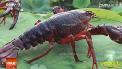 [�Ƽ�Է]�����ס��һ���С��Ϻ ��ˮ�������С��Ϻ