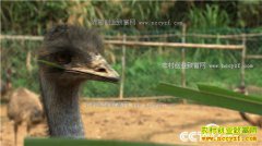 [�¸���]����������Ծ����ֳ���3����׬50����Ԫ