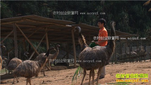 ���ϴ��������ܾ������ŵ�500��(2017.1.11)