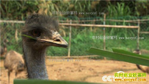 �¸��������ϴ��������ܾ������ŵ�500�� 1��11��