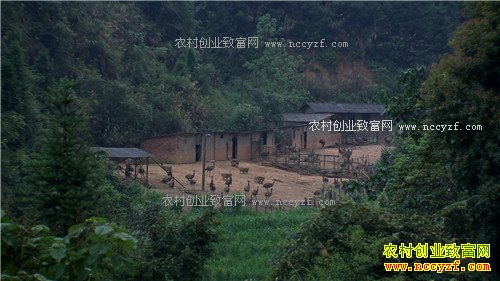 ���ϴ��������ܾ������ŵ�500��(2017.1.11)