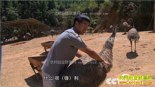 �¸��������ϴ��������ܾ������ŵ�500�� 1��11��