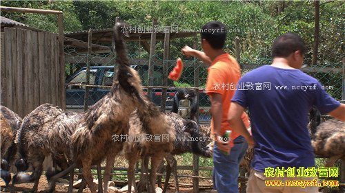 ���ϴ��������ܾ������ŵ�500��(2017.1.11)