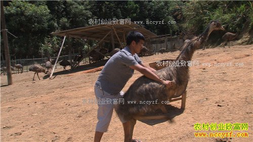 ���ϴ��������ܾ������ŵ�500��(2017.1.11)