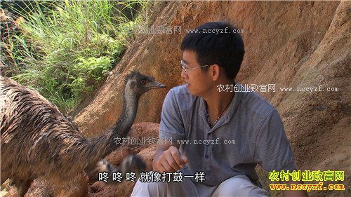 ���ϴ��������ܾ������ŵ�500��(2017.1.11)