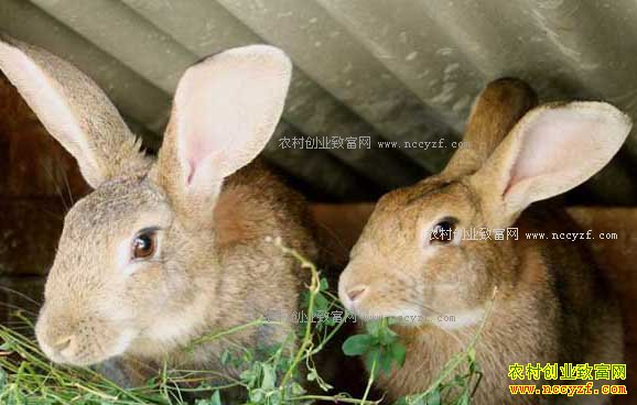 ������������ã�