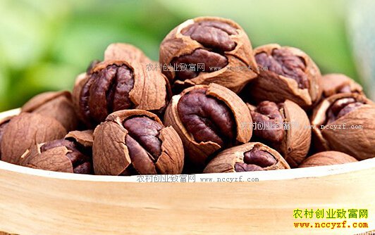 �������70���ɽ����������ũ���չ�