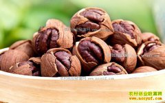 �������70���ɽ����������ũ���չ�