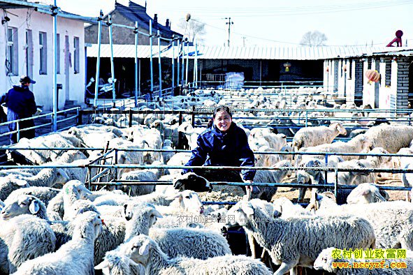 ɽ������Ů�������ַ���������32��Ԫ