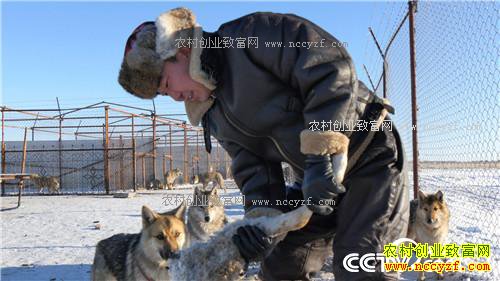 [�¸���]���ɹź��ױ�������������׬����