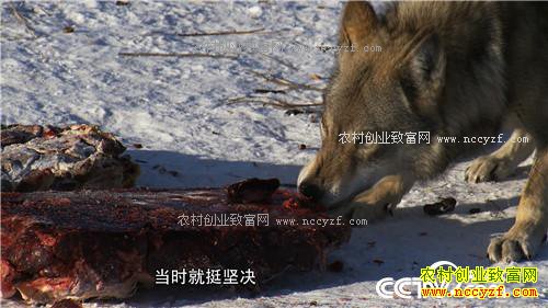 �Ƕ�Ⱥ����׬����(2017.01.12)