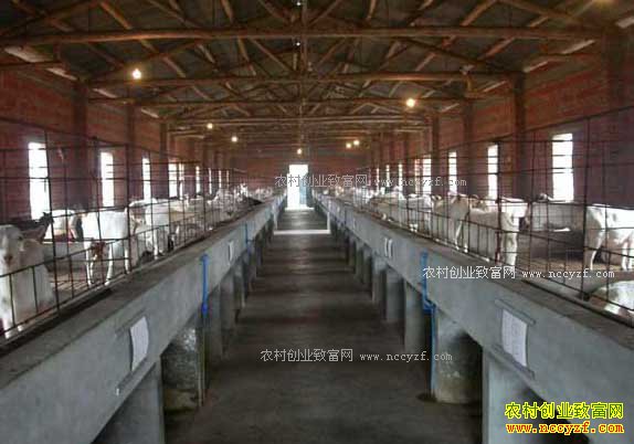 ��Ȧ����ʲôҩ���������������