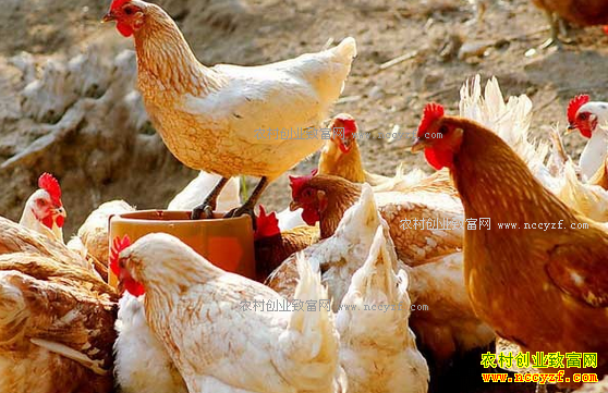 ����������С�մ��ܷ�ֹ��������