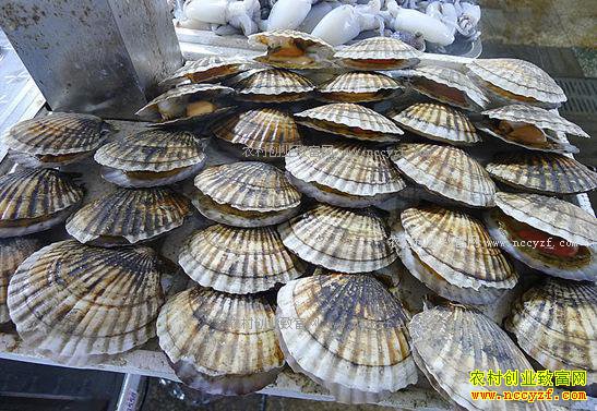 δ��������׬Ǯ��7��ũ���¸���Ŀ-�ȱ���ֳ