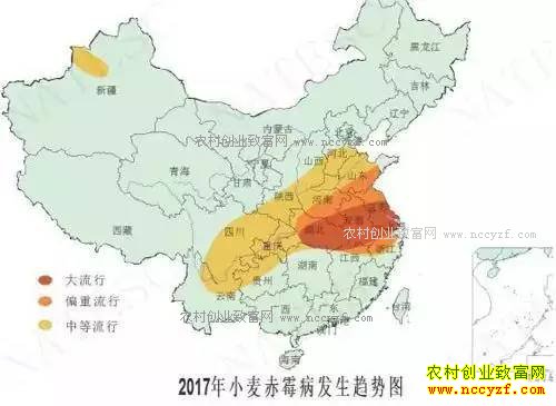 2017��ũ����ʮ�󲡳溦�෢��������Ԥ��