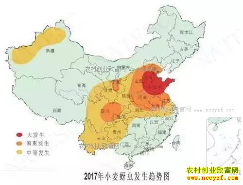 2017��ũ����ʮ�󲡳溦�෢��������Ԥ��