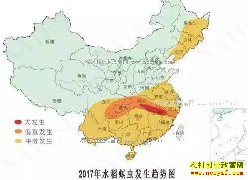 2017��ũ����ʮ�󲡳溦�෢��������Ԥ��