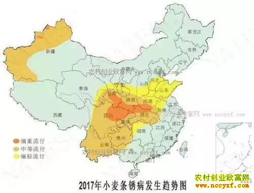 2017��ũ����ʮ�󲡳溦�෢��������Ԥ��