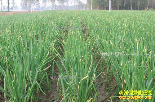 �������ϼ�Ȱ��������ϴ������4Ķ��������14��