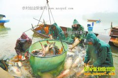 ���ϻ�������ˮ����ֳ��������̬���������¸�