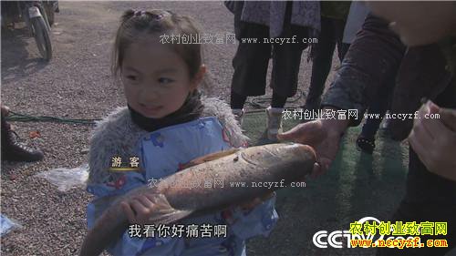 ���������� ���һ��ɹ��800��(20170113)