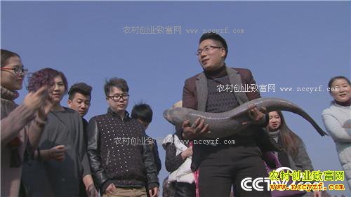 ���������� ���һ��ɹ��800��(20170113)