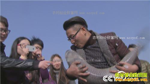 �¸��������������� ���һ��ɹ��800�� 1��13��