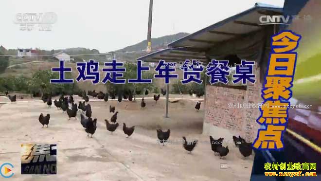 [�۽���ũ]����á������᣺�ӱ�������������ֳ���г�����