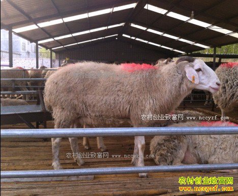 ���ð����ô���ƣ�