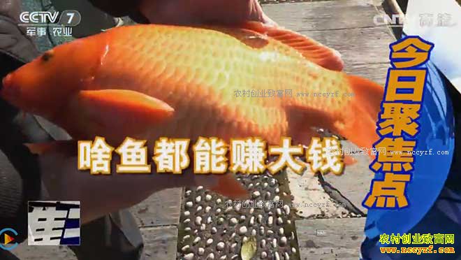 [�۽���ũ]���ü������������������