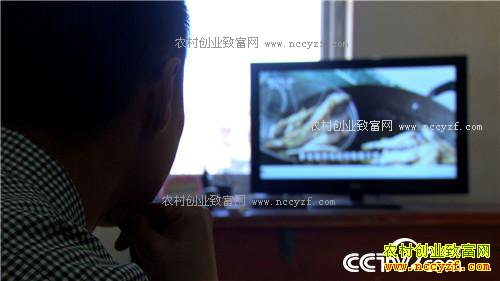 һ�������¸������¸�����(2017.01.16)