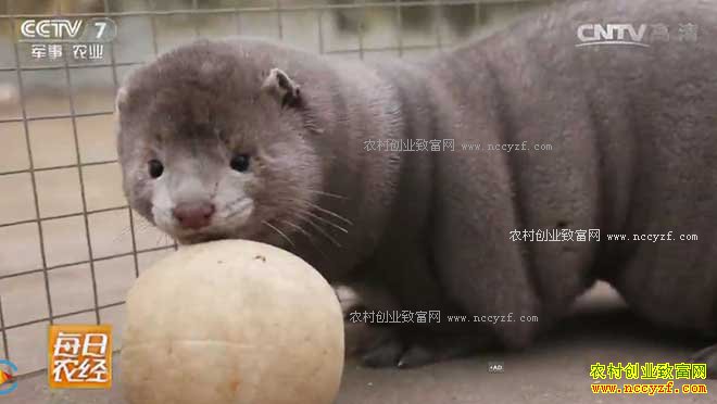 [ÿ��ũ��]ͬʱ������ˮ�������� 20170113