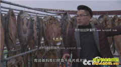 [�¸���]�㽭��Ҧë���������������һ��ɹ��800��Ԫ