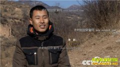 [�¸���]ɽ������ղ�������¸�����������ҵ����700����