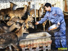 �ӱ���ǿ�أ���ֳ÷��¹��ũ����ƶ�¸�����Ŀ