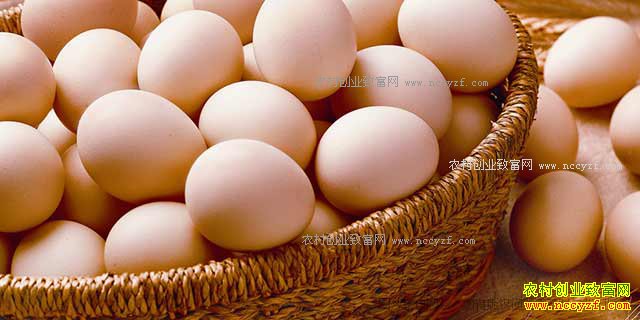 2017�꼦���۸�Ԥ�⣺�����½����꼦���۸�����ֺ���