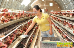 ��μ��������˷��������Ч��