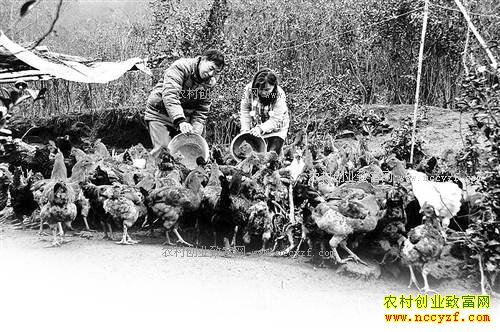 ���쿪�����ܾ���ֳ������ƶ�¸�