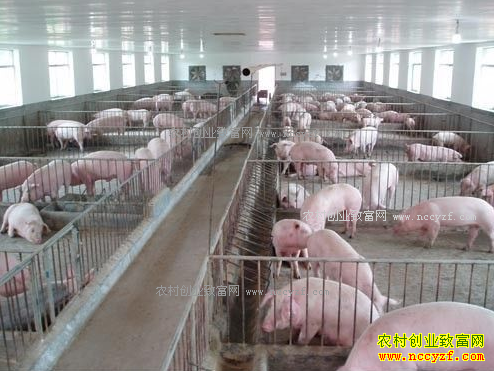 2017��1��19�ս��������۸����飺���۷�����������