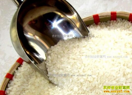 2017��1��19��ȫ�����׼۸�����