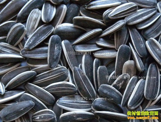 2017��1��19��ȫ�����������¼۸�����