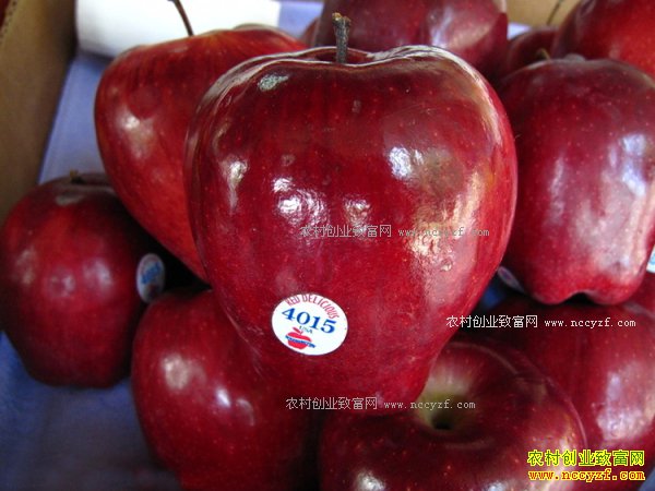 2017��1��19��ȫ���߹��۸�Ԥ��