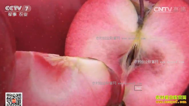 [�Ƽ�Է]����ͷ���ĺ���ƻ�� 20170112