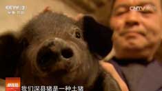 [�Ƽ�Է]�ӱ�������·����������´���