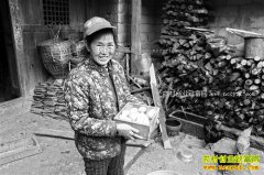 ����ᶼ����ֳ�̿ǵ���Ч���ÿֻ������60Ԫ