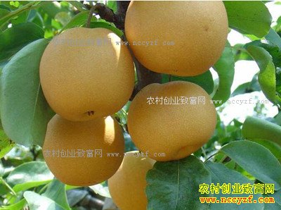 ����ۣ�ذ�����5�򹫽��������ؽ������