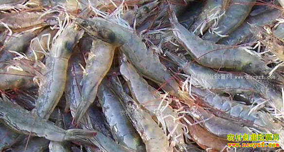 ��Ϻ�����߸߲����½��ĳ� 2017���Ϻ�۸��������